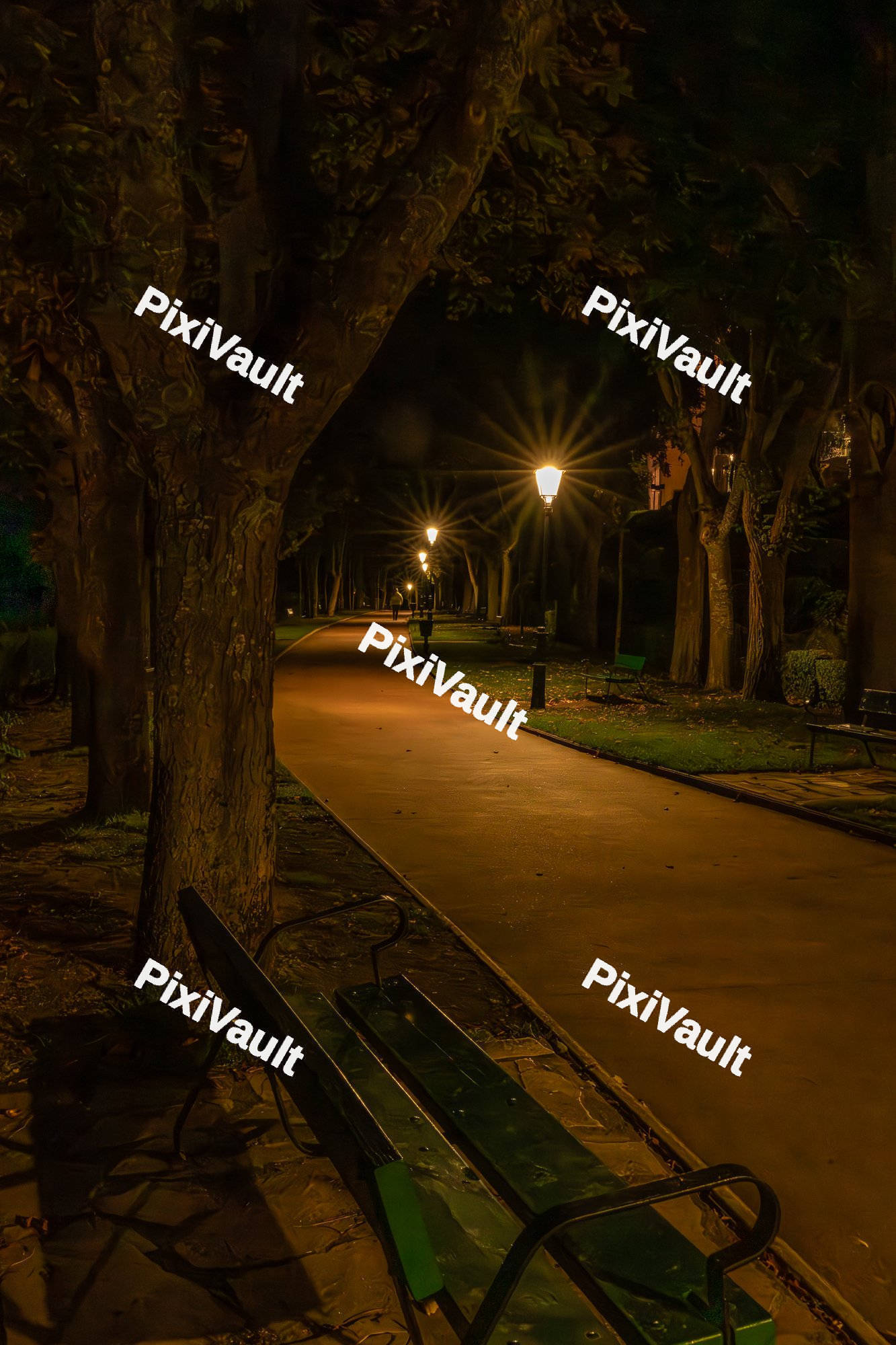 Pathway with trees at night